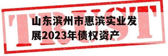 山东滨州市惠滨实业发展2023年债权资产