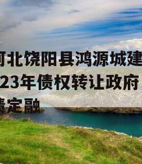 河北饶阳县鸿源城建2023年债权转让政府债定融