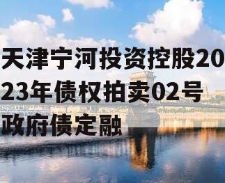 天津宁河投资控股2023年债权拍卖02号政府债定融