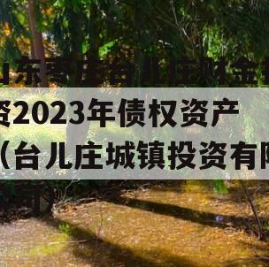 山东枣庄台儿庄财金投资2023年债权资产（台儿庄城镇投资有限公司）