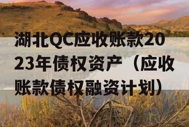 湖北QC应收账款2023年债权资产（应收账款债权融资计划）