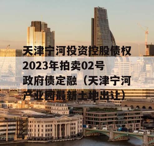 天津宁河投资控股债权2023年拍卖02号政府债定融（天津宁河产业园最新土地出让）