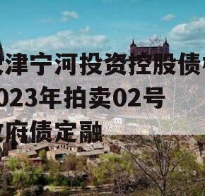 天津宁河投资控股债权2023年拍卖02号政府债定融