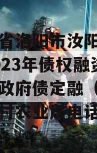 河南省洛阳市汝阳农发投2023年债权融资项目政府债定融（汝阳县农村农业局电话）