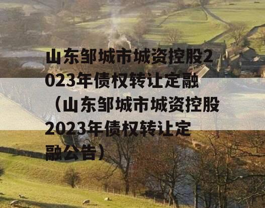 山东邹城市城资控股2023年债权转让定融（山东邹城市城资控股2023年债权转让定融公告）