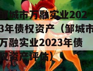 邹城市万融实业2023年债权资产（邹城市万融实业2023年债权资产评估）