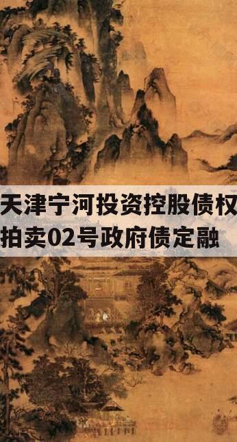 天津宁河投资控股债权拍卖02号政府债定融