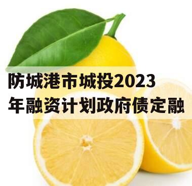 防城港市城投2023年融资计划政府债定融