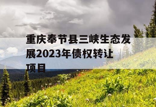 重庆奉节县三峡生态发展2023年债权转让项目