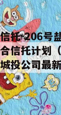 央企信托-206号盐城集合信托计划（盐城集资城投公司最新消息）