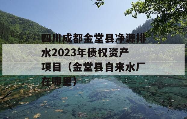 四川成都金堂县净源排水2023年债权资产项目（金堂县自来水厂在哪里）