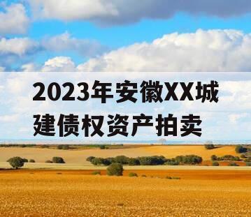 2023年安徽XX城建债权资产拍卖