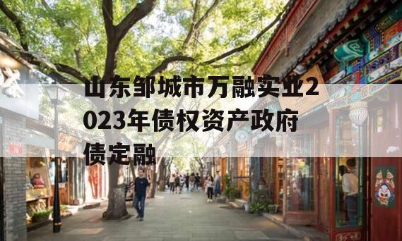 山东邹城市万融实业2023年债权资产政府债定融