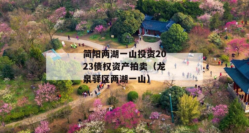 简阳两湖一山投资2023债权资产拍卖（龙泉驿区两湖一山）