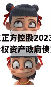 山东正方控股2023年债权资产政府债定融