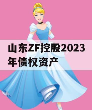 山东ZF控股2023年债权资产