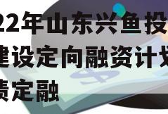 2022年山东兴鱼投资建设定向融资计划政府债定融