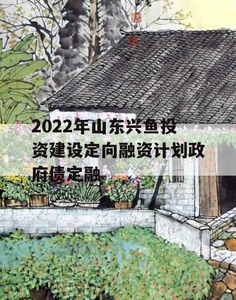 2022年山东兴鱼投资建设定向融资计划政府债定融