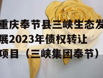 重庆奉节县三峡生态发展2023年债权转让项目（三峡集团奉节）