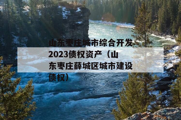 山东枣庄城市综合开发2023债权资产（山东枣庄薛城区城市建设债权）