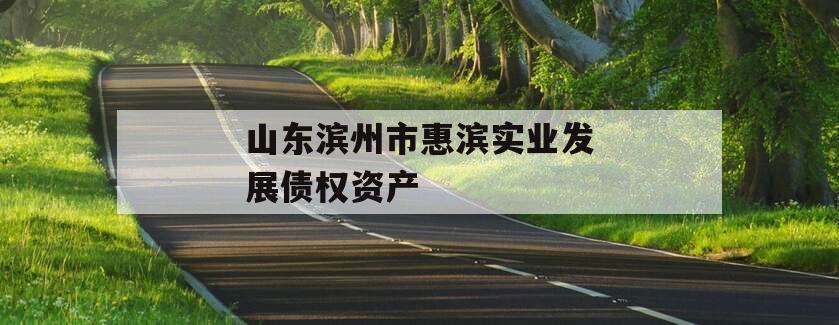 山东滨州市惠滨实业发展债权资产