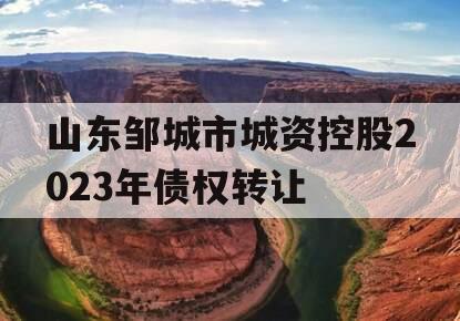 山东邹城市城资控股2023年债权转让