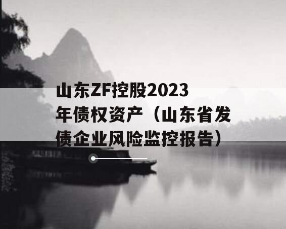 山东ZF控股2023年债权资产（山东省发债企业风险监控报告）