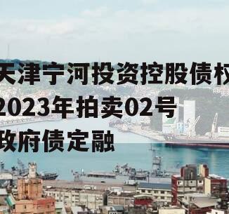 天津宁河投资控股债权2023年拍卖02号政府债定融