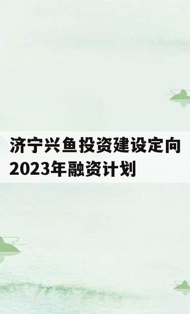 济宁兴鱼投资建设定向2023年融资计划