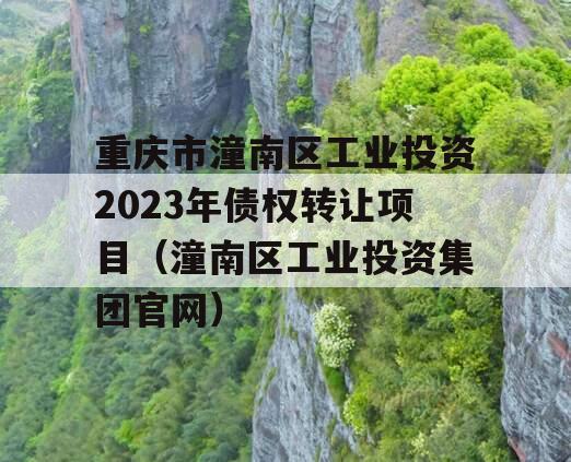 重庆市潼南区工业投资2023年债权转让项目（潼南区工业投资集团官网）