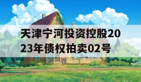 天津宁河投资控股2023年债权拍卖02号