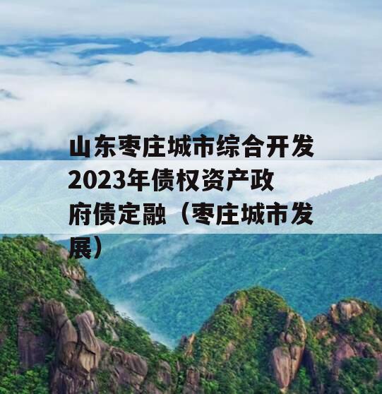 山东枣庄城市综合开发2023年债权资产政府债定融（枣庄城市发展）