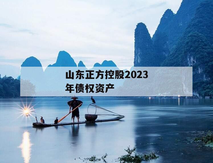 山东正方控股2023年债权资产