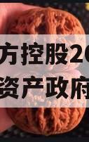 山东正方控股2023年债权资产政府债定融