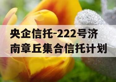 央企信托-222号济南章丘集合信托计划