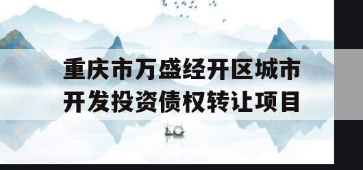 重庆市万盛经开区城市开发投资债权转让项目