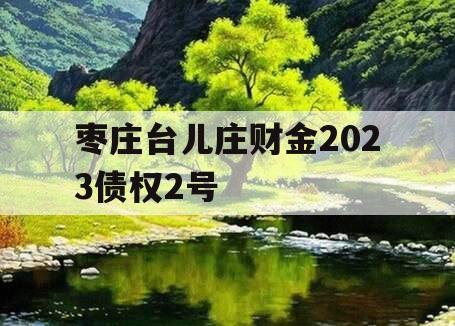 枣庄台儿庄财金2023债权2号