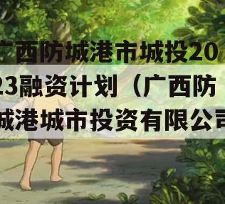 广西防城港市城投2023融资计划（广西防城港城市投资有限公司）