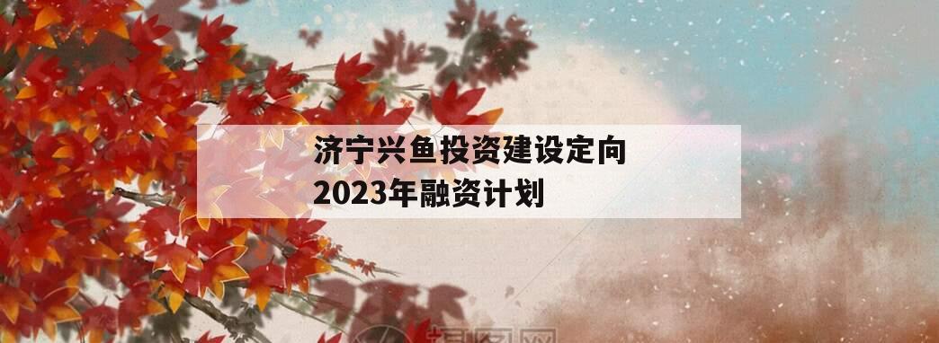 济宁兴鱼投资建设定向2023年融资计划