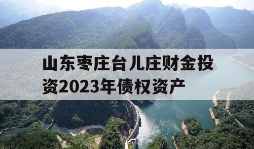 山东枣庄台儿庄财金投资2023年债权资产