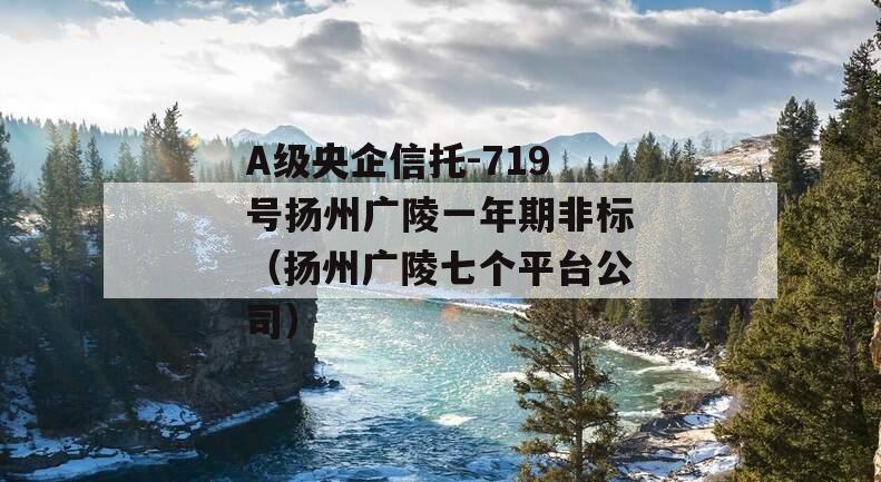 A级央企信托-719号扬州广陵一年期非标（扬州广陵七个平台公司）