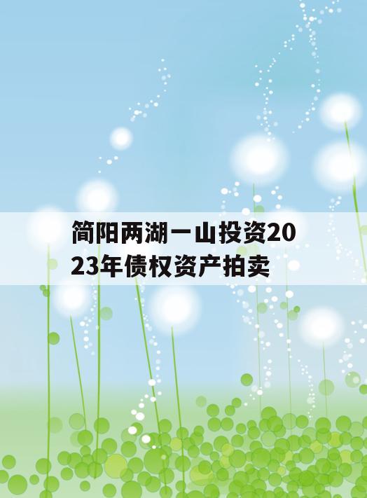 简阳两湖一山投资2023年债权资产拍卖