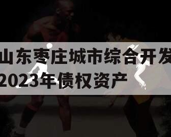 山东枣庄城市综合开发2023年债权资产