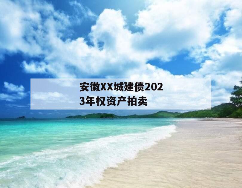 安徽XX城建债2023年权资产拍卖