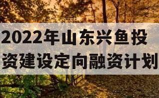 2022年山东兴鱼投资建设定向融资计划