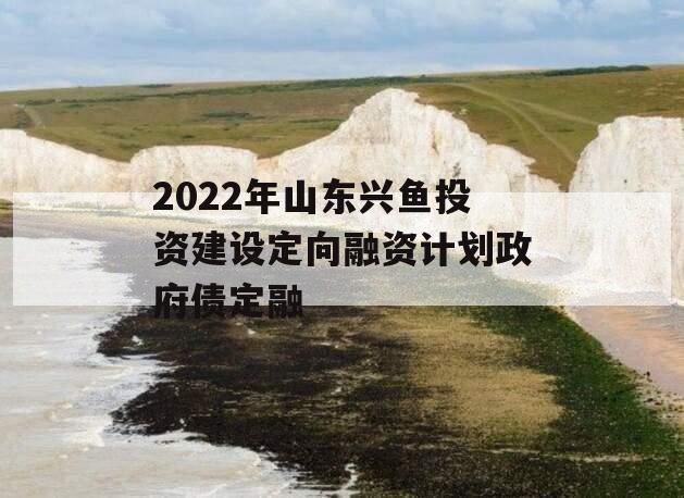 2022年山东兴鱼投资建设定向融资计划政府债定融