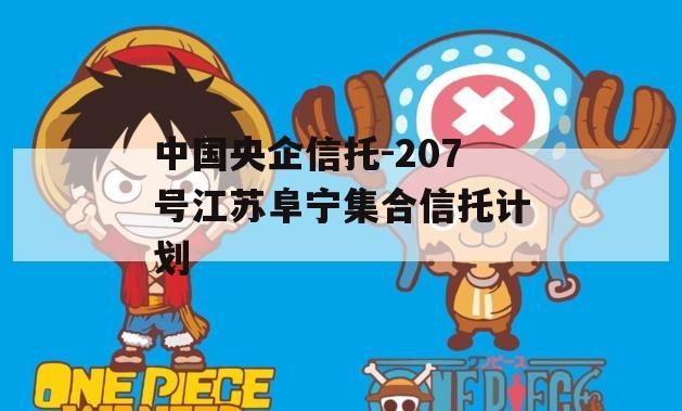 中国央企信托-207号江苏阜宁集合信托计划