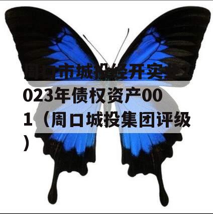 周口市城投经开实业2023年债权资产001（周口城投集团评级）