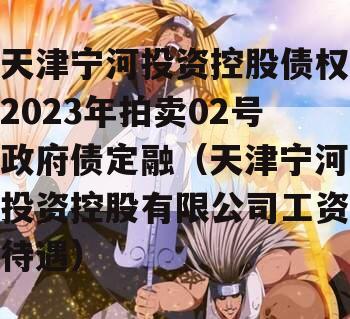 天津宁河投资控股债权2023年拍卖02号政府债定融（天津宁河投资控股有限公司工资待遇）