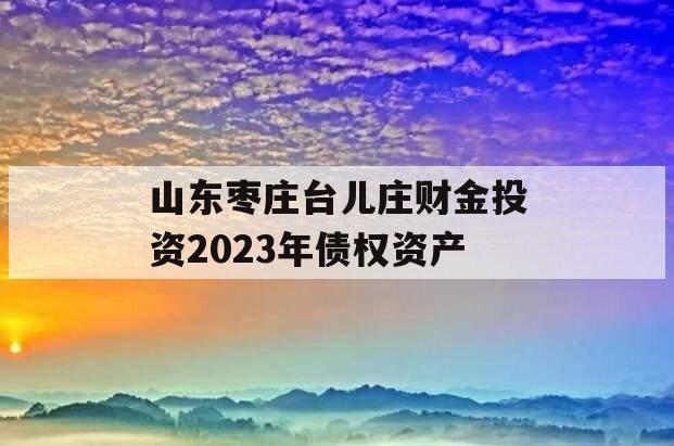 山东枣庄台儿庄财金投资2023年债权资产